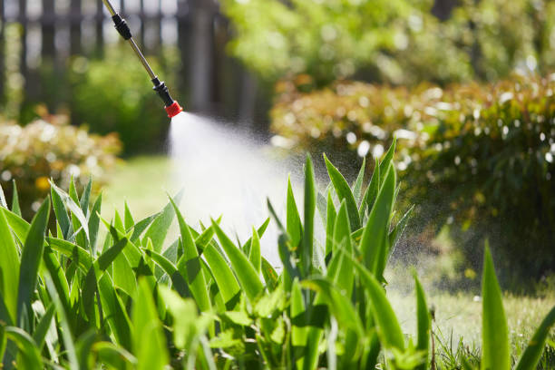 24/7 Emergency Mosquito Control experts in Port Dickinson, NY