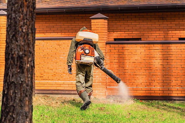 Top rated local Mosquito Control specialists in Port Dickinson, NY